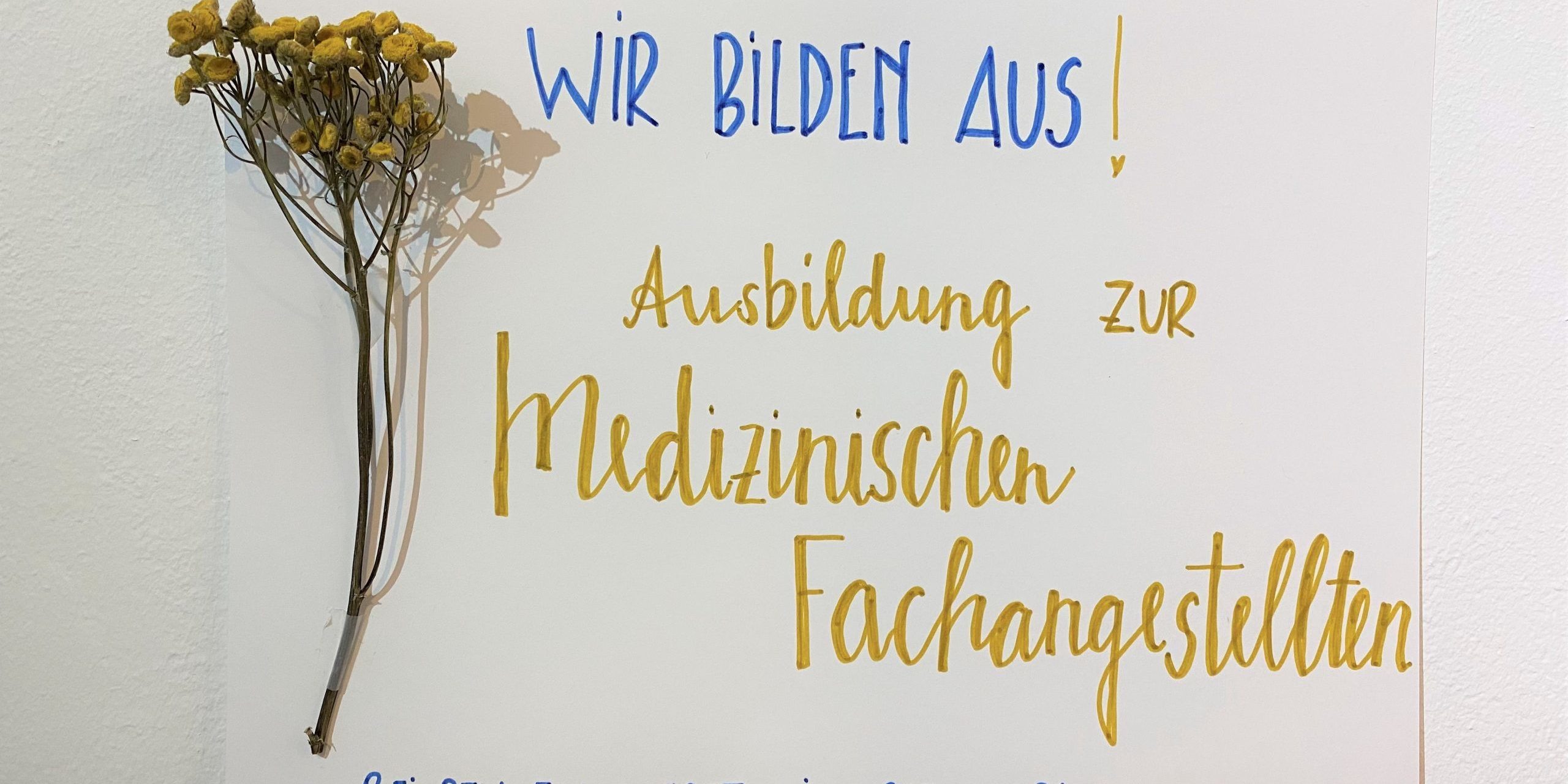 IMG_3649 (002) Wir bilden aus!