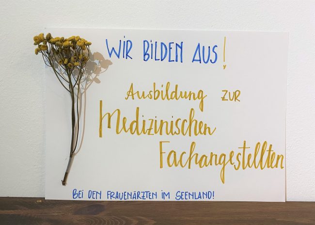 IMG_3649 (002) Wir bilden aus!