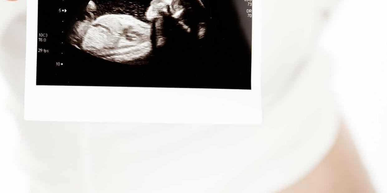 156212179_253819689713455_7770603441610393804_o