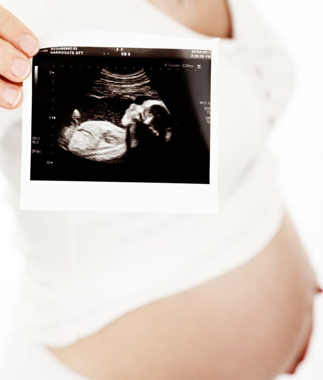 156212179_253819689713455_7770603441610393804_o