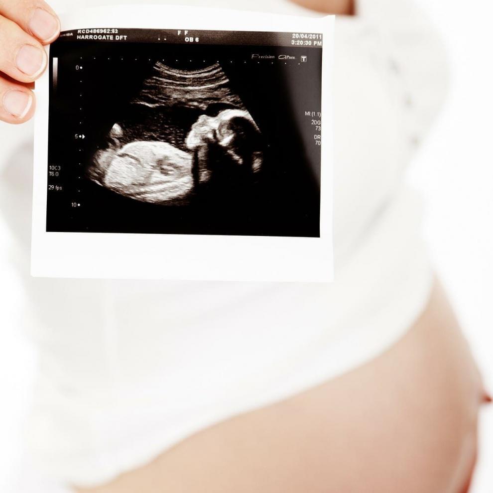 156212179_253819689713455_7770603441610393804_o