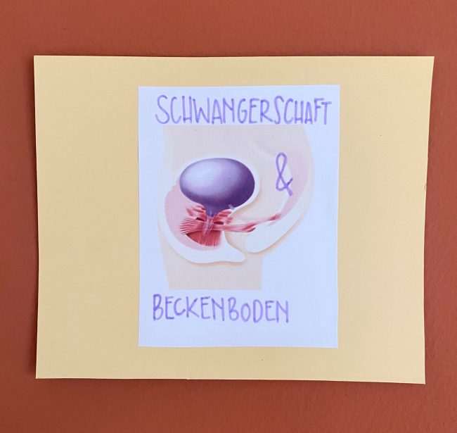 Schwangerschaft und Beckenboden