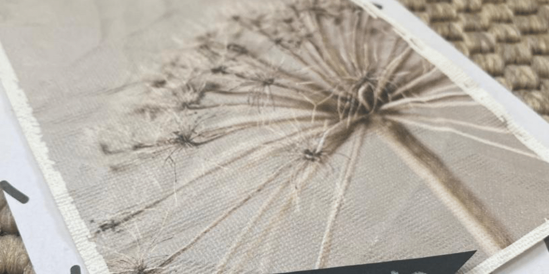 Design ohne Titel (2) Covid News Frauenärzte im Seenland