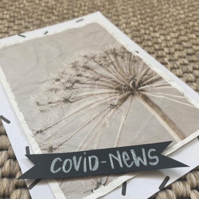 Design ohne Titel (2) Covid News Frauenärzte im Seenland